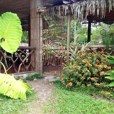 Hosteria Mindo Samay Juku Dış mekan fotoğraf