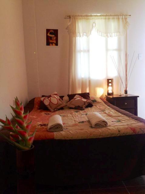 Hosteria Mindo Samay Juku Oda fotoğraf