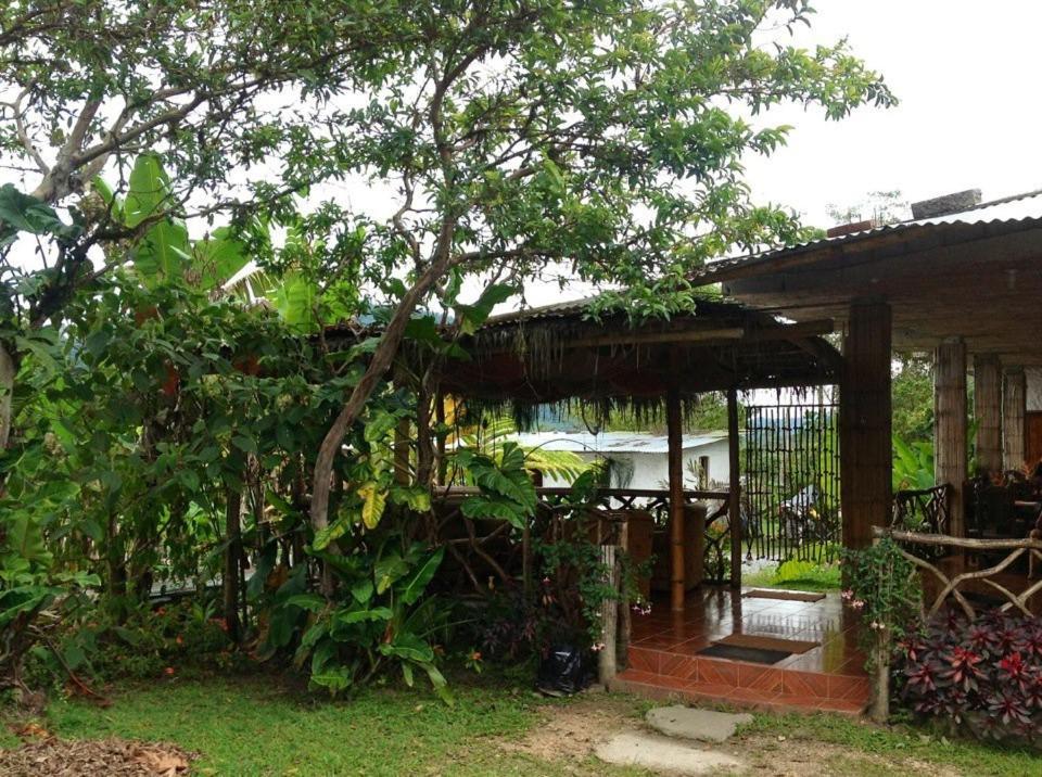 Hosteria Mindo Samay Juku Dış mekan fotoğraf