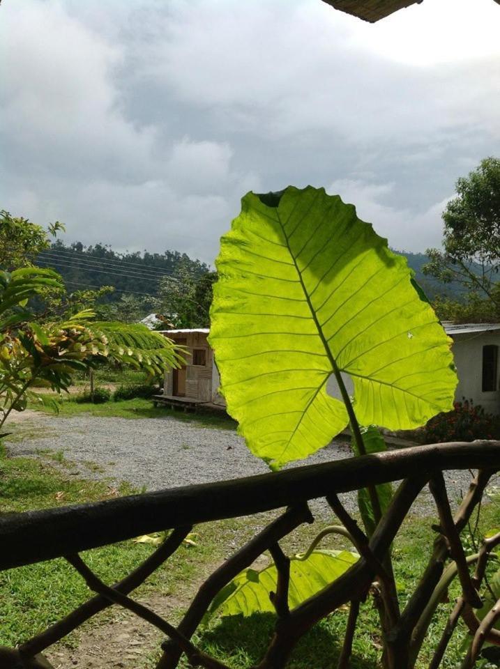 Hosteria Mindo Samay Juku Dış mekan fotoğraf