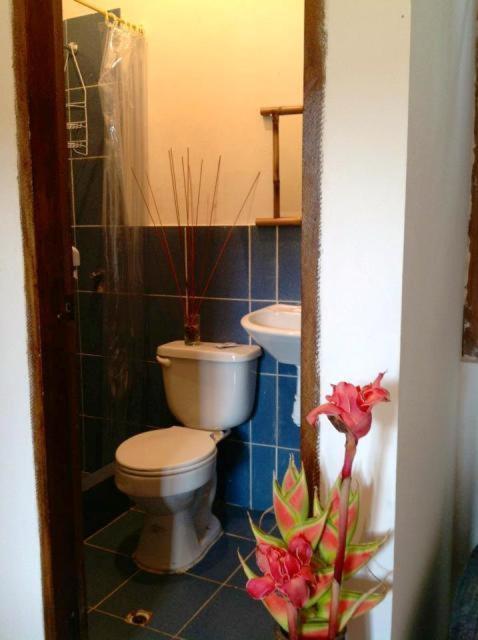 Hosteria Mindo Samay Juku Dış mekan fotoğraf